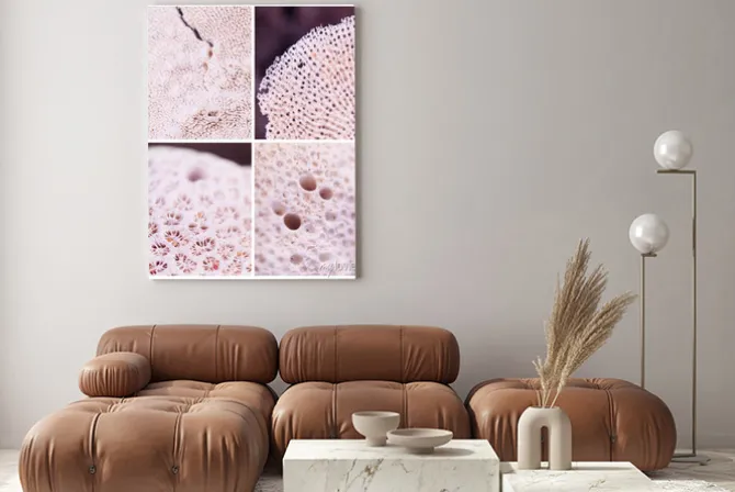 Obraz: Zbliżenie struktury różowego koralowca