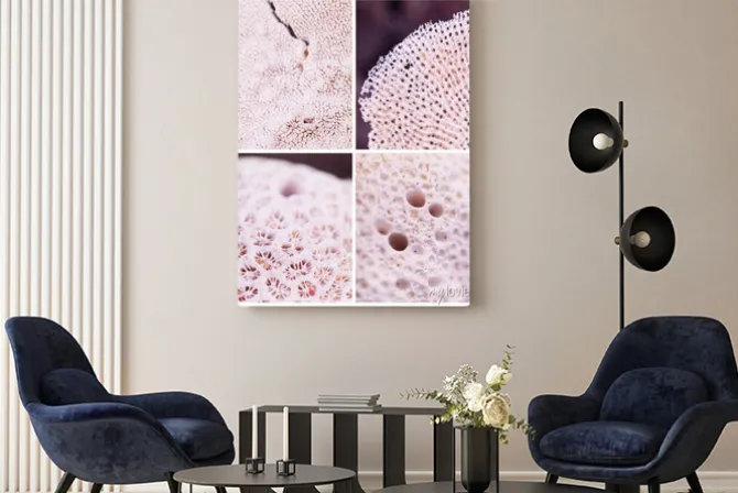 Obraz: Zbliżenie struktury różowego koralowca