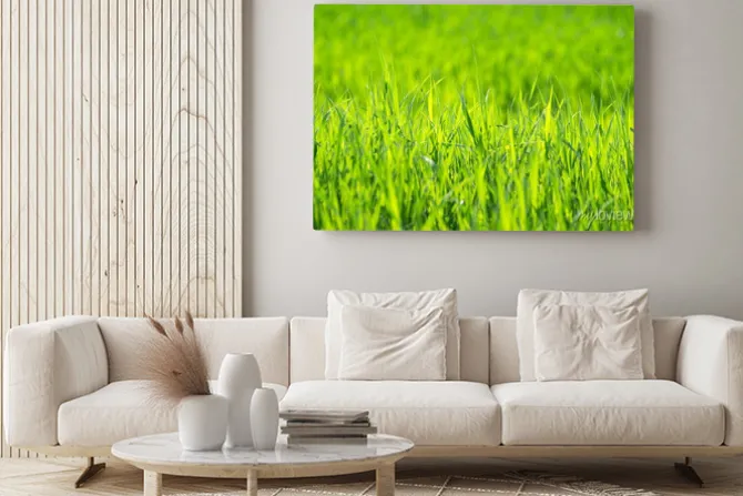 Obraz: Zielona trawa