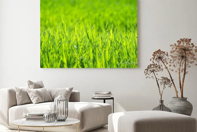 Obraz: Zielona trawa