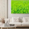 Obraz: Zielona trawa