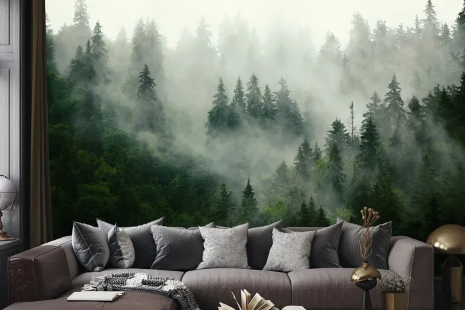 Obraz: Zielone drzewa iglaste pokryte mgłą