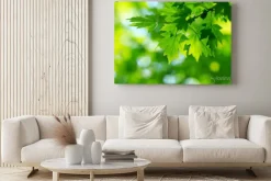 Obraz: Zielone liście