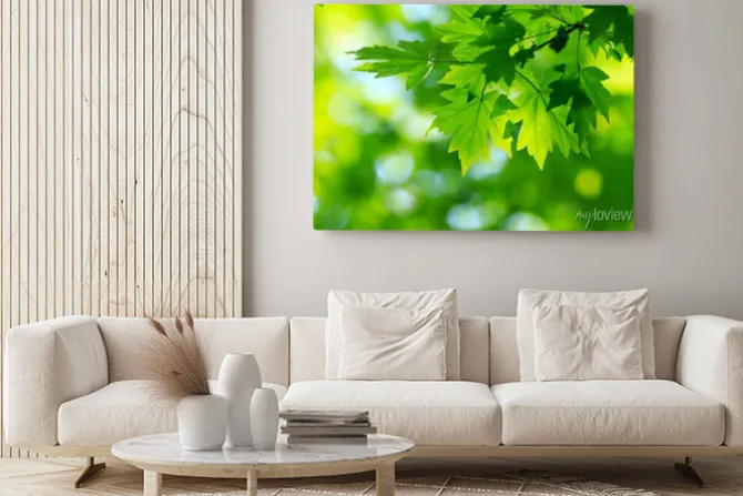 Obraz: Zielone liście
