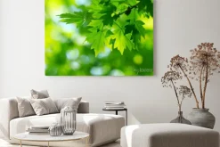 Obraz: Zielone liście
