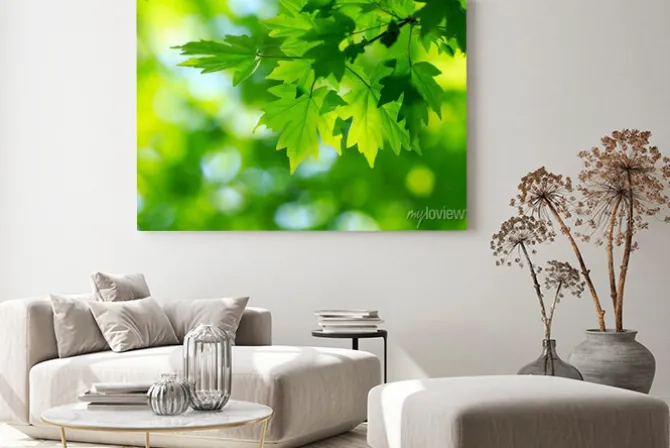 Obraz: Zielone liście