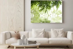 Obraz: Zielone liście bambusa nad wodą