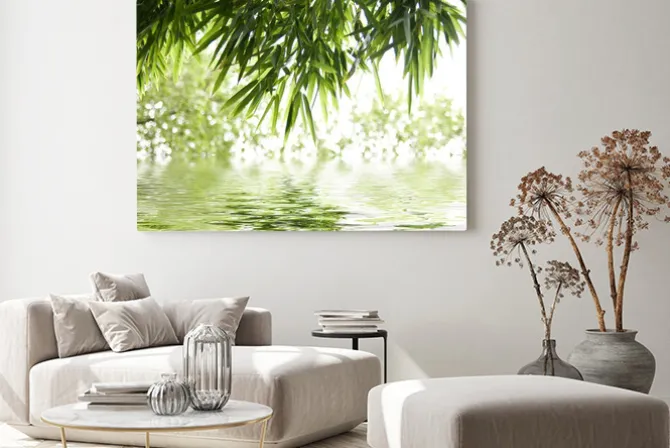 Obraz: Zielone liście bambusa nad wodą