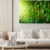 Obraz: Zielone pędy bambusa