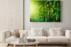 Obraz: Zielone pędy bambusa