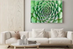 Obraz: Zielony kwiat