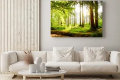 Obraz: Zielony las oświetlony wiosennym słońcem