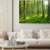 Obraz: Zielony las w pełnym słońcu