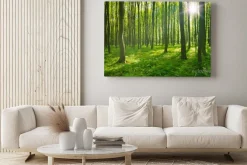Obraz: Zielony las w pełnym słońcu