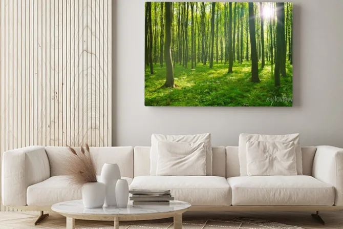 Obraz: Zielony las w pełnym słońcu