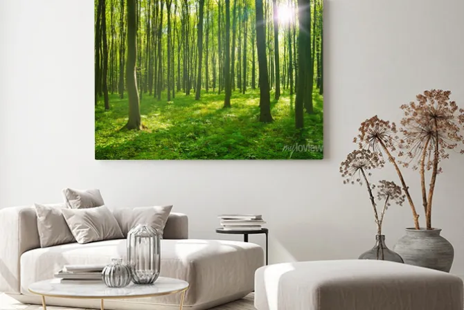 Obraz: Zielony las w pełnym słońcu