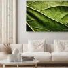 Obraz: Zielony liść