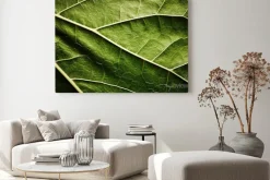 Obraz: Zielony liść