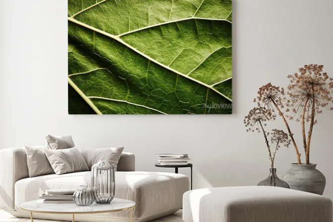 Obraz: Zielony liść