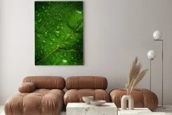 Obraz: Zielony liść