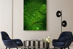 Obraz: Zielony liść