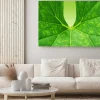 Obraz: Zielony liść w tle