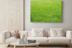 Obraz: Zielony trawnik