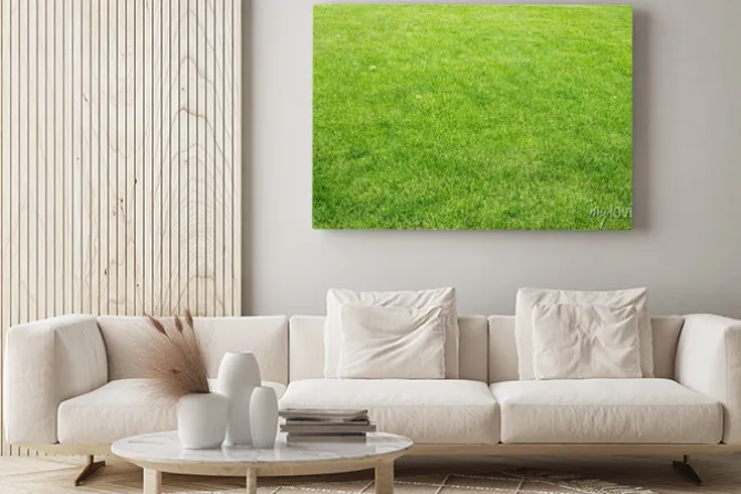 Obraz: Zielony trawnik