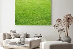 Obraz: Zielony trawnik