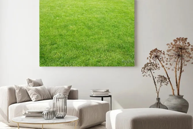 Obraz: Zielony trawnik