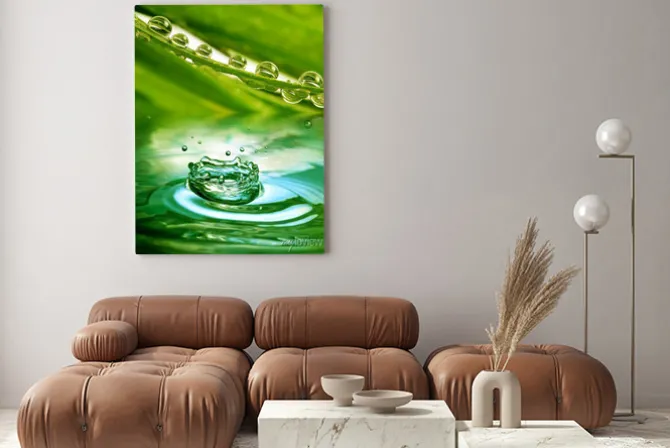 Obraz: Zielonych roślin z krople rosy