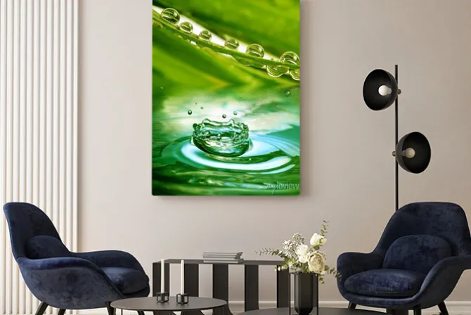 Obraz: Zielonych roślin z krople rosy