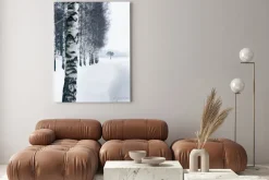 Obraz: Zima krajobraz z brzoza śniegiem przy dnia czasem w finlandia