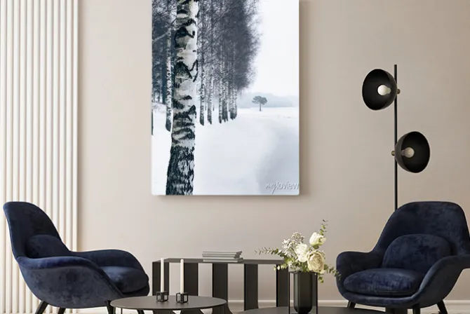 Obraz: Zima krajobraz z brzoza śniegiem przy dnia czasem w finlandia