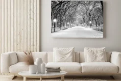 Obraz: Zimowy central park nocą