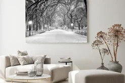 Obraz: Zimowy central park nocą