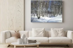 Obraz: Zimowy krajobraz z białej brzozy