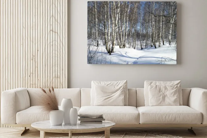 Obraz: Zimowy krajobraz z białej brzozy