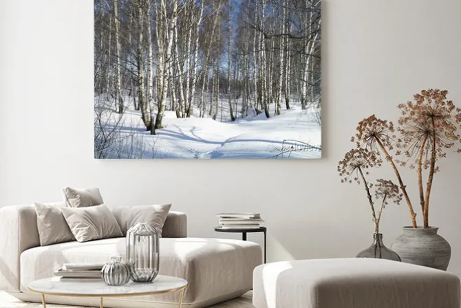 Obraz: Zimowy krajobraz z białej brzozy