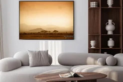 Plakat: Afrykańska sawanna o wschodzie słońca