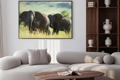 Plakat: Afrykańskie słonie na afrykańskiej sawannie