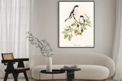 Plakat: Akwarelowe ptaki na gałęzi