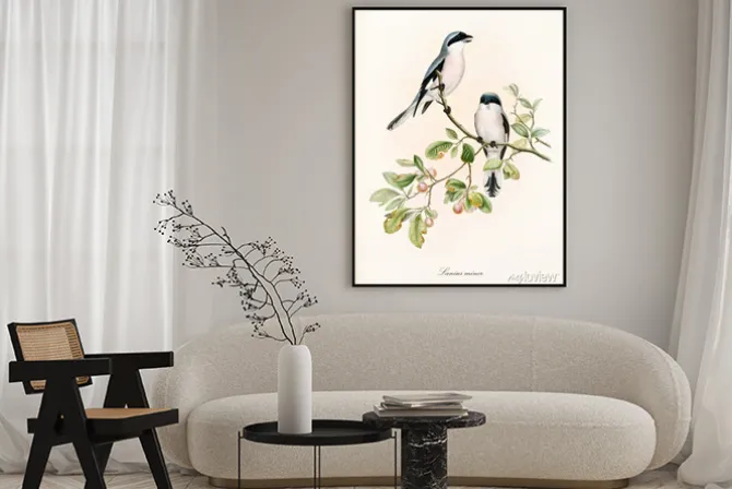 Plakat: Akwarelowe ptaki na gałęzi