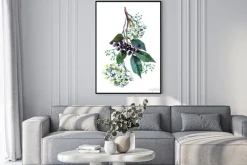 Plakat: Akwarelowy malunek gałązki czarnego bzu