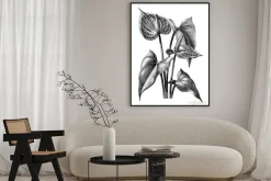 Plakat: Anturium botaniczne rocznika grawerowanie ilustracja clipart