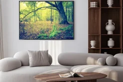 Plakat: Archiwalne zdjęcie jesienny krajobraz lasu