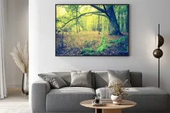 Plakat: Archiwalne zdjęcie jesienny krajobraz lasu