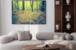 Plakat: Archiwalne zdjęcie jesienny krajobraz lasu