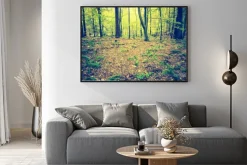 Plakat: Archiwalne zdjęcie jesienny krajobraz lasu