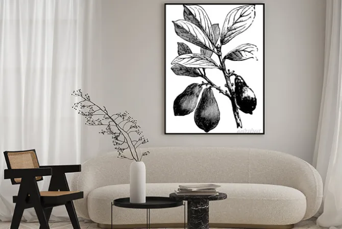 Plakat: Avocado vintage illustration.